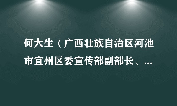 何大生（广西壮族自治区河池市宜州区委宣传部副部长、新闻出版局局长）
