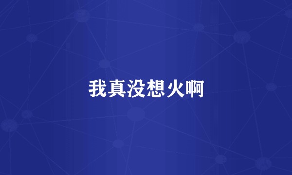 我真没想火啊