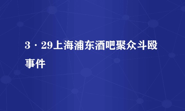 3·29上海浦东酒吧聚众斗殴事件