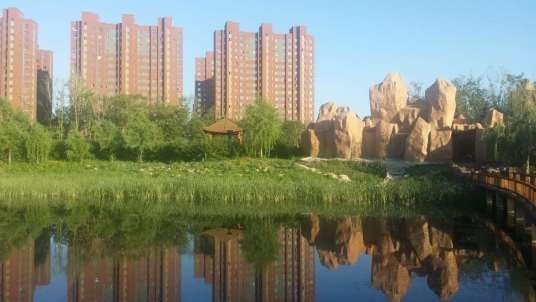 孙进教育集团
