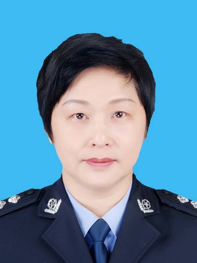 崔宏伟（河南省南阳市内乡县人民政府原副县长、公安局原党委书记、原局长）