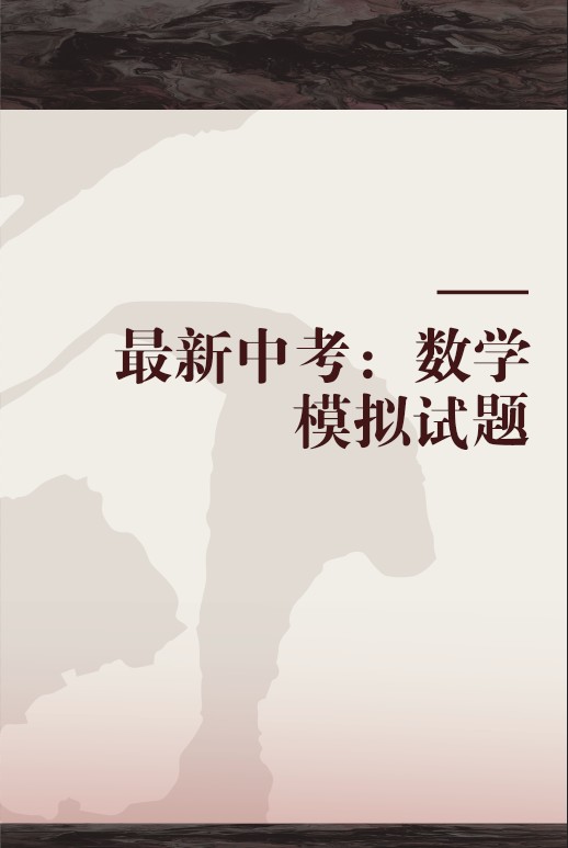 最新中考：数学模拟试题