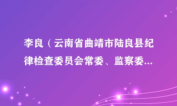 李良（云南省曲靖市陆良县纪律检查委员会常委、监察委员会委员）