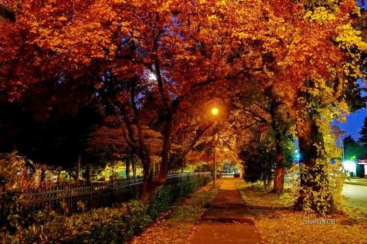 秋夜（唐朝王建诗作）