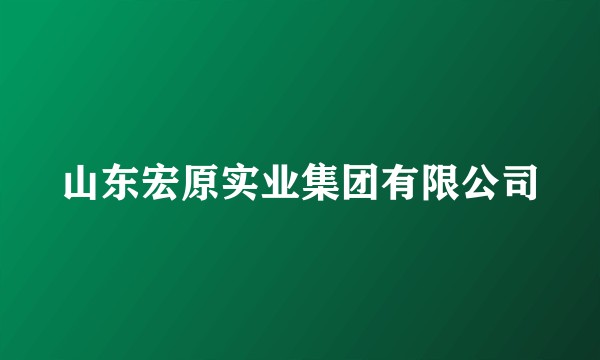 山东宏原实业集团有限公司