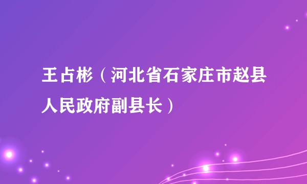 王占彬（河北省石家庄市赵县人民政府副县长）
