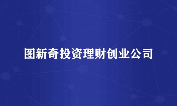 图新奇投资理财创业公司