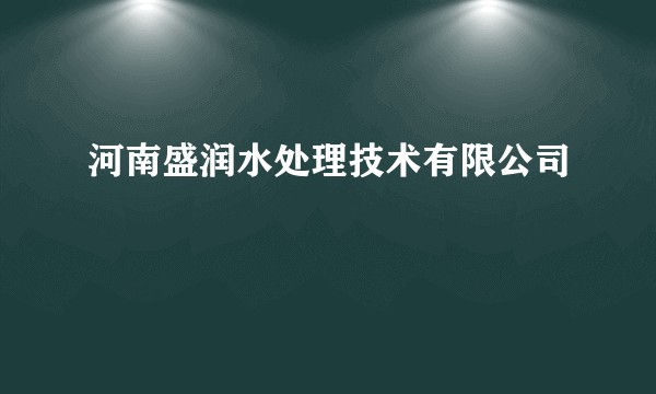 河南盛润水处理技术有限公司