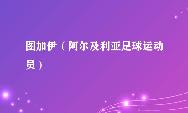 图加伊（阿尔及利亚足球运动员）
