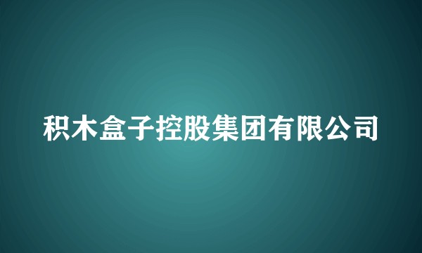 积木盒子控股集团有限公司