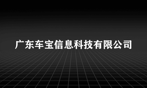 广东车宝信息科技有限公司