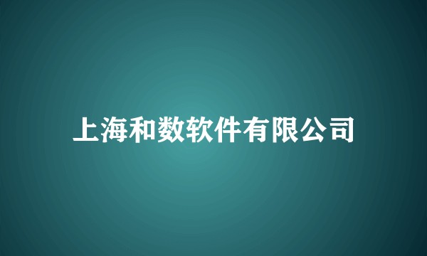 上海和数软件有限公司