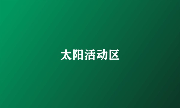 太阳活动区