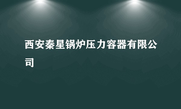 西安秦星锅炉压力容器有限公司