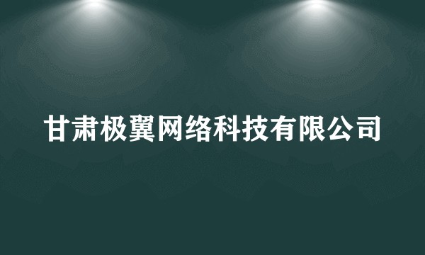 甘肃极翼网络科技有限公司