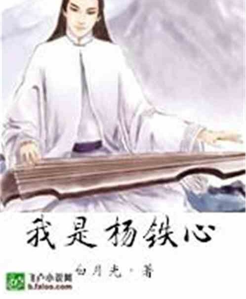 我是杨铁心