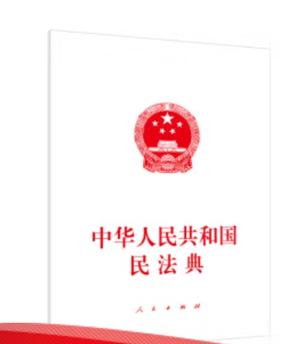 中华人民共和国民法典（2020年人民出版社出版的图书）
