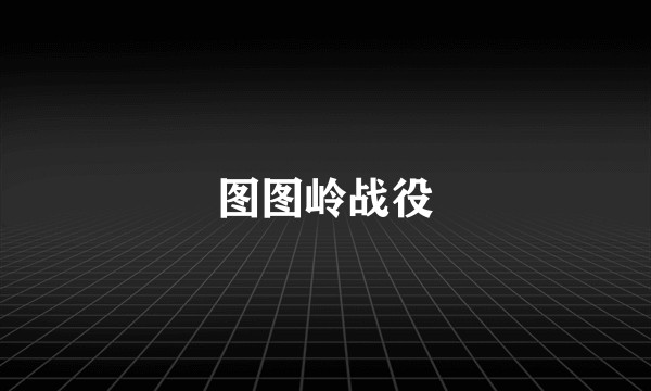 图图岭战役
