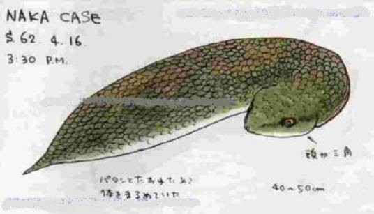 幻之蛇