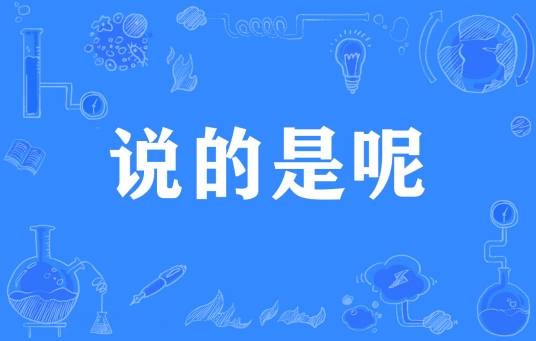 说的是呢