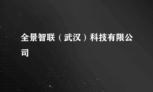 全景智联（武汉）科技有限公司
