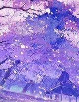 在那樱花树下的约定