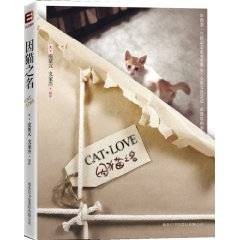 因猫之名CAT·LOVE