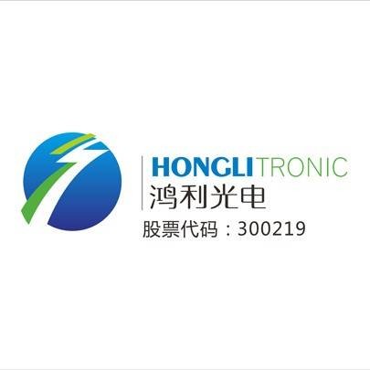 广州市鸿利光电股份有限公司