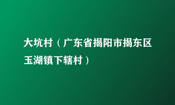 大坑村（广东省揭阳市揭东区玉湖镇下辖村）