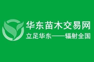 华东苗木交易网