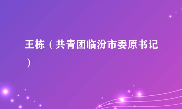 王栋（共青团临汾市委原书记）