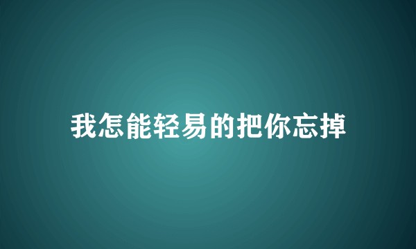 我怎能轻易的把你忘掉