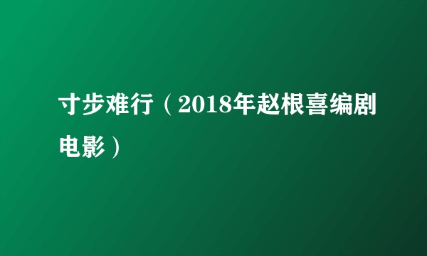 寸步难行（2018年赵根喜编剧电影）