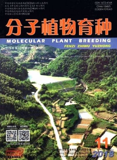 分子植物育种(科学期刊)