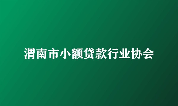 渭南市小额贷款行业协会