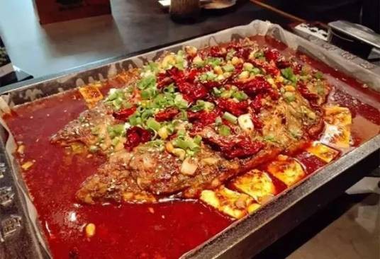 红烧菜鲟