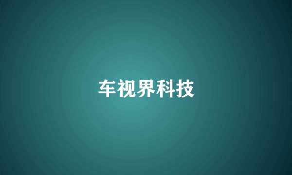 车视界科技
