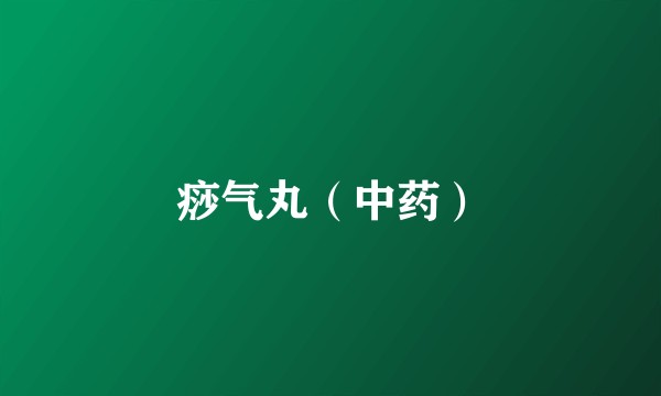 痧气丸（中药）