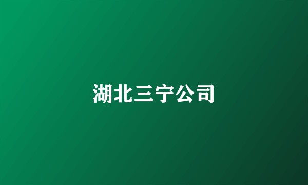 湖北三宁公司
