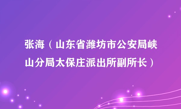 张海（山东省潍坊市公安局峡山分局太保庄派出所副所长）