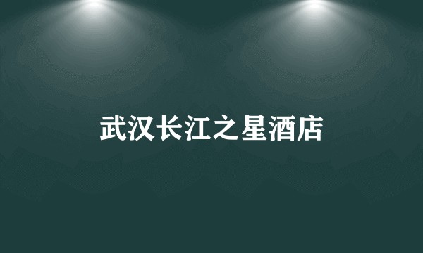 武汉长江之星酒店