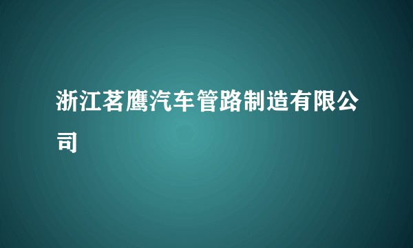 浙江茗鹰汽车管路制造有限公司