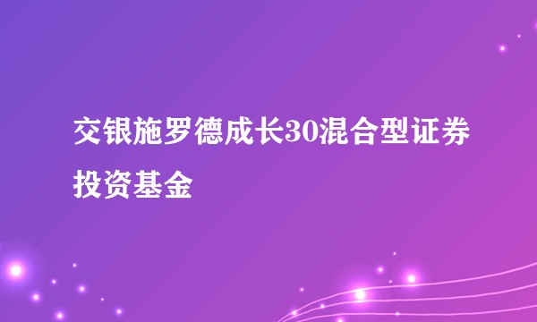 交银施罗德成长30混合型证券投资基金