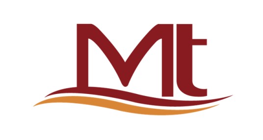 MT(美容按摩床品牌)
