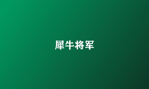 犀牛将军