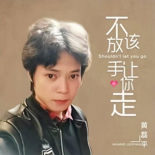 不该放手让你走（黄磊平演唱歌曲）