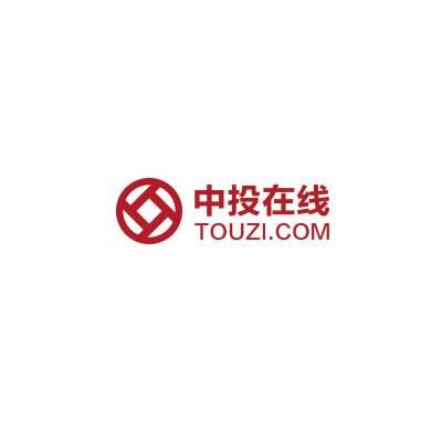 中投在线股份有限公司