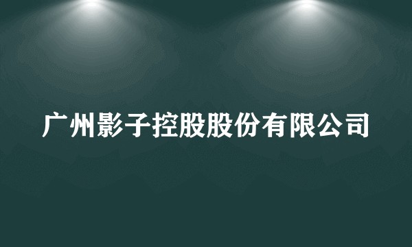 广州影子控股股份有限公司