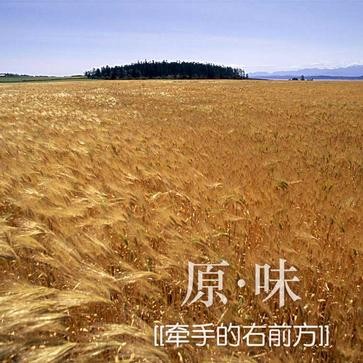 心动（原·味演唱歌曲）