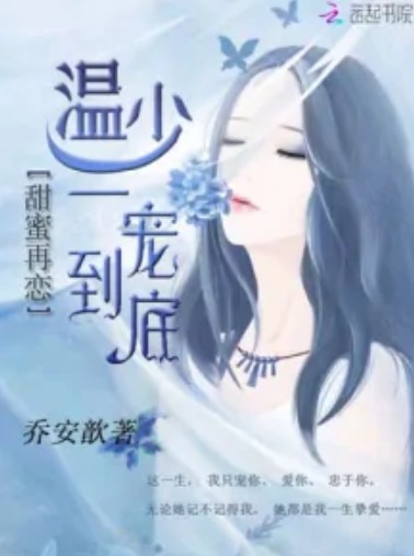 甜蜜再恋：温少一宠到底